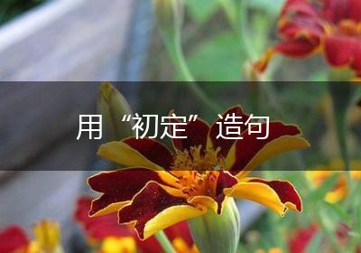 用“初定”造句