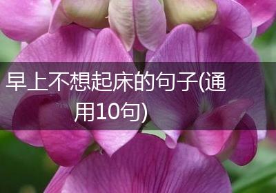 早上不想起床的句子(通用10句)