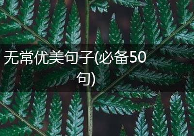无常优美句子(必备50句)