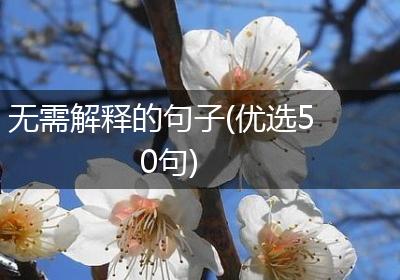 无需解释的句子(优选50句)
