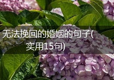 无法挽回的婚姻的句子(实用15句)