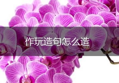 作玩造句怎么造
