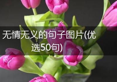 无情无义的句子图片(优选50句)