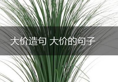 大价造句 大价的句子