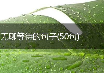 无聊等待的句子(50句)