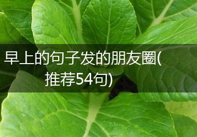 早上的句子发的朋友圈(推荐54句)