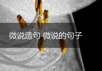 微说造句 微说的句子