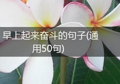 早上起来奋斗的句子(通用50句)