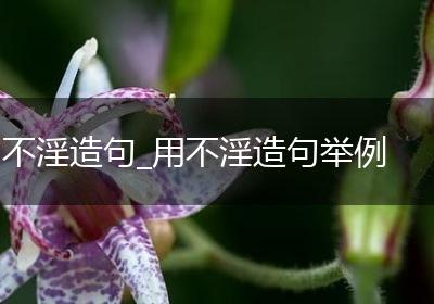 不淫造句_用不淫造句举例