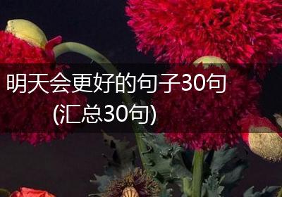 明天会更好的句子30句(汇总30句)