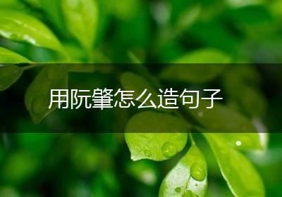 用阮肇怎么造句子