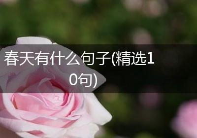 春天有什么句子(精选10句)