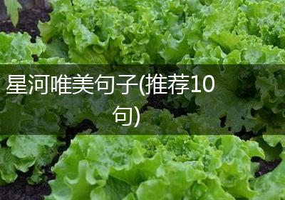 星河唯美句子(推荐10句)