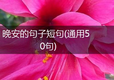 晚安的句子短句(通用50句)