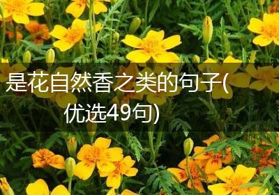 是花自然香之类的句子(优选49句)
