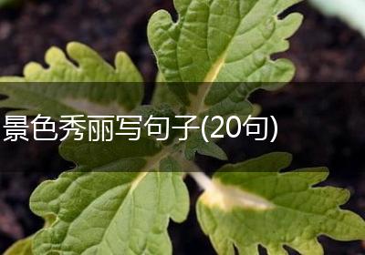 景色秀丽写句子(20句)