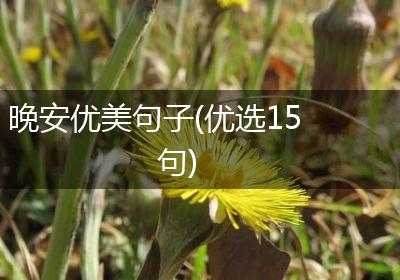 晚安优美句子(优选15句)