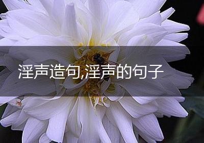 淫声造句,淫声的句子