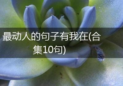 最动人的句子有我在(合集10句)