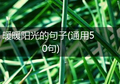 暖暖阳光的句子(通用50句)