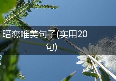 暗恋唯美句子(实用20句)