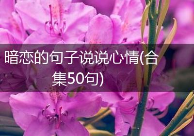 暗恋的句子说说心情(合集50句)