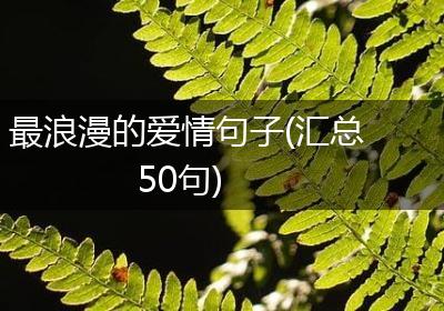 最浪漫的爱情句子(汇总50句)