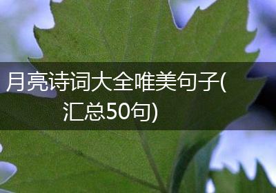 月亮诗词大全唯美句子(汇总50句)