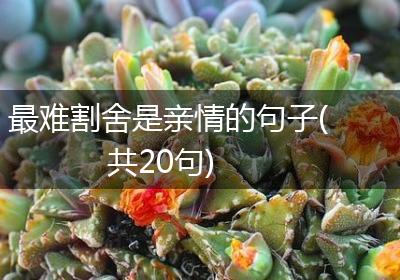 最难割舍是亲情的句子(共20句)