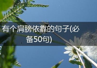 有个肩膀依靠的句子(必备50句)