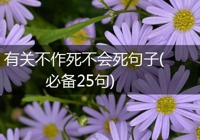 有关不作死不会死句子(必备25句)