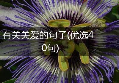 有关关爱的句子(优选40句)