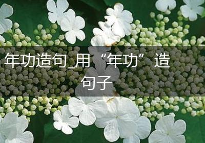 年功造句_用“年功”造句子