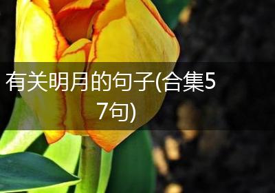 有关明月的句子(合集57句)