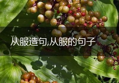 从服造句,从服的句子