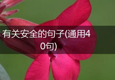 有关安全的句子(通用40句)