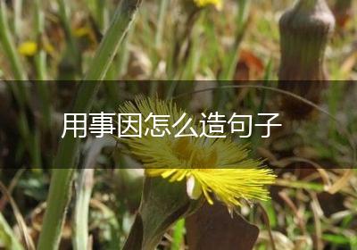 用事因怎么造句子
