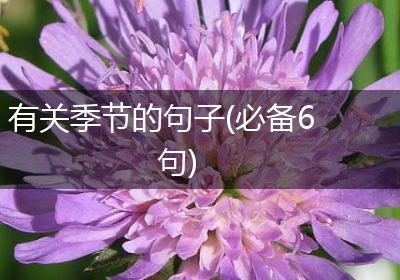 有关季节的句子(必备6句)
