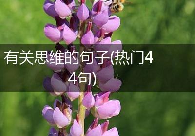 有关思维的句子(热门44句)