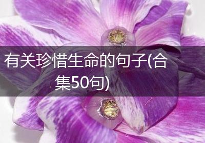 有关珍惜生命的句子(合集50句)