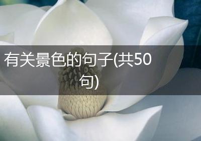 有关景色的句子(共50句)