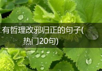 有哲理改邪归正的句子(热门20句)