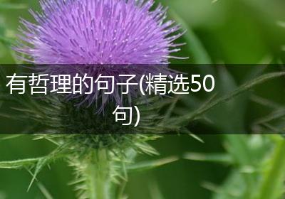 有哲理的句子(精选50句)
