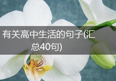 有关高中生活的句子(汇总40句)