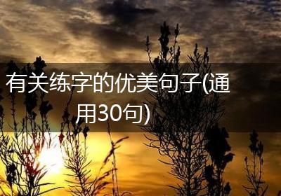 有关练字的优美句子(通用30句)