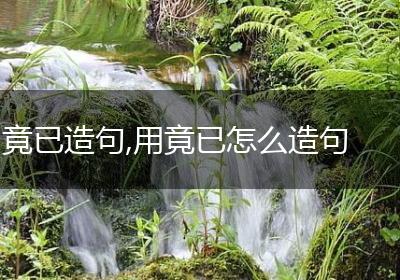 竟已造句,用竟已怎么造句