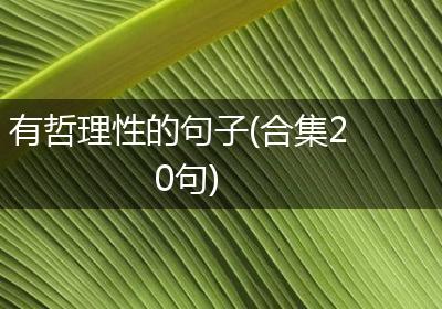 有哲理性的句子(合集20句)