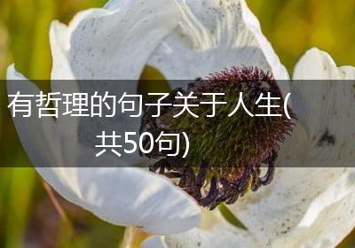 有哲理的句子关于人生(共50句)