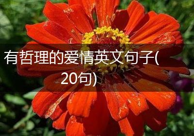 有哲理的爱情英文句子(20句)
