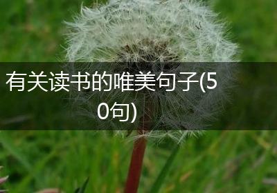 有关读书的唯美句子(50句)